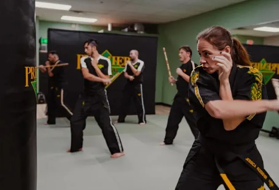 Family Class at Premier Martial Arts Fleming Island